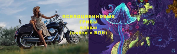 спиды Абдулино